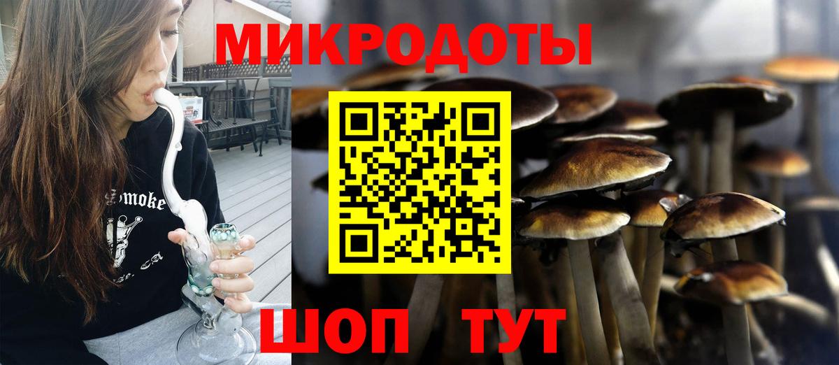 как найти закладки  Псилоцибиновые грибы GOLDEN TEACHER  Вход с VPN  Зеленодольск  Псилоцибиновые грибы MAGIC MUSHROOMS 